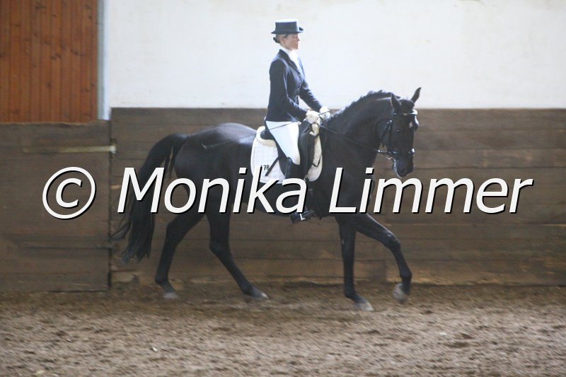 009M4733_Sandro Khan_Dressurpf_A.JPG